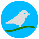 SparrowSurf