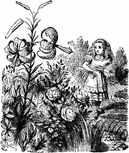 Alice in the garden, the roses have faces.