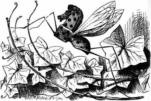 An insect in the shape of a small rocking-horse, with wings.