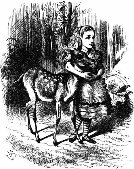 Alice puts an arm round a Fawn.