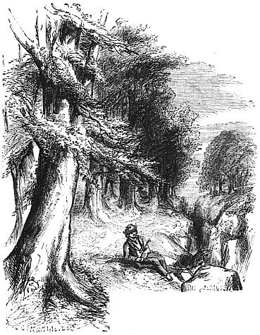 A man with a hat is sitting alone under large trees.