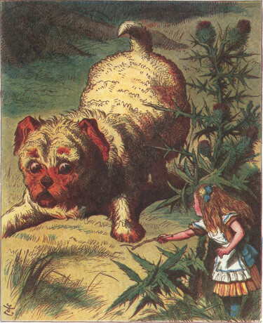 A small Alice is holding a little stick to a dog.