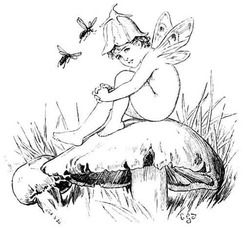 A fairy with wings wearing a blossom as hat is sitting on a mushroom.