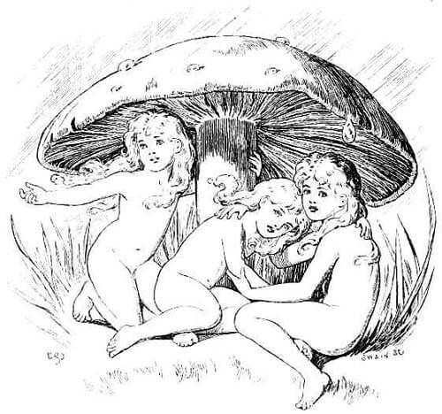 Three fairies are sitting together under a mushroom to shelter from the rain.