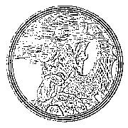 circular ornament with the dragon