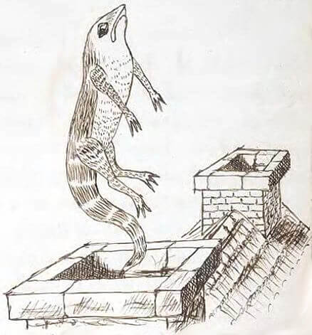 A lizard is flying up out of a chimney.