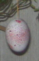 Ei mit roten Sprengseln