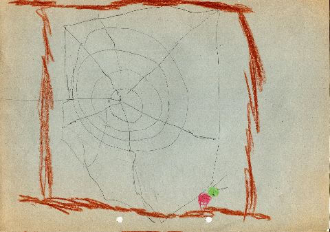 Bild einer Spinne mit Spinnennetz